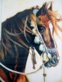 floriane-blot - Monde du Cheval de 10 à 14 ans