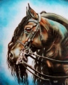 Pastel sec 14 ans - Monde du Cheval de 10 à 14 ans