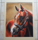 Pastel sec 12 ans - Monde du Cheval de 10 à 14 ans