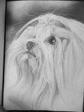 floriane-blot - Portraits de chiens commandes