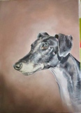 Huile sur toile lévrier - Portraits de chiens commandes